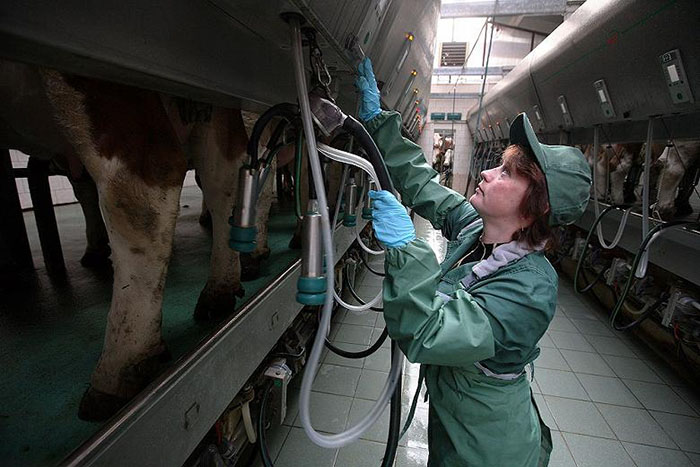 Что будет с ценами на молоко в России