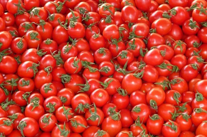 Минсельхоз предложил увеличить квоту на ввоз турецких помидоров