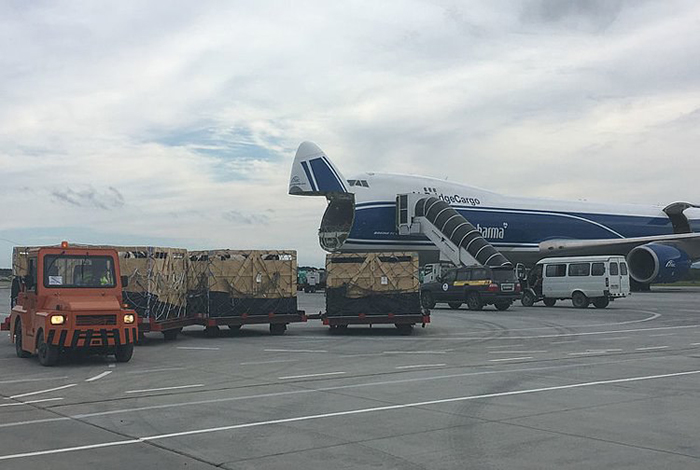 ​Около 400 коров из Европы доставили самолетами на Сахалин