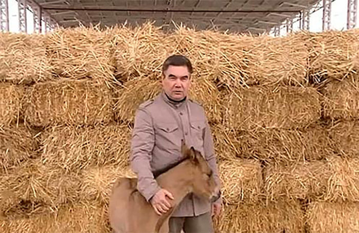 Президент Туркменистана приказал цифровизировать сельское хозяйство