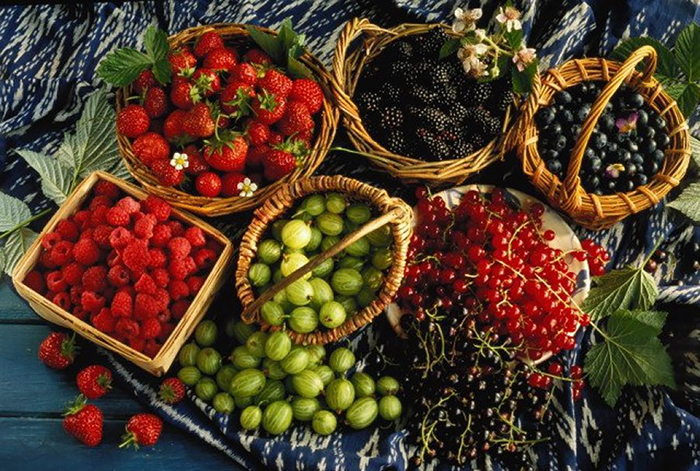 ​Производство плодов и ягод вырастет на 41% к 2024 году