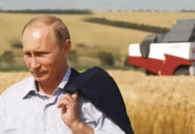 Путин потребовал проконтролировать доведение субсидий до аграриев