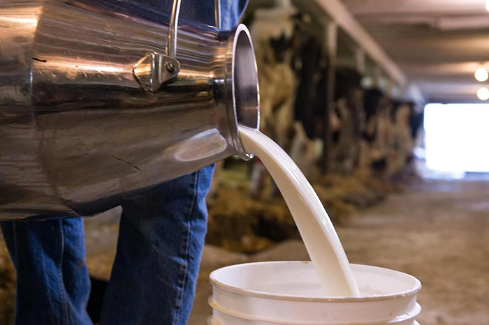 Рейтинг субъектов РФ по уровню цен на сырое молоко