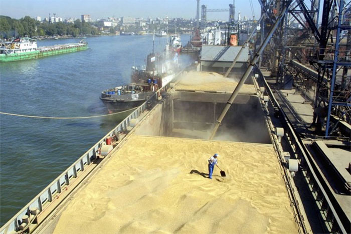 Российские морские порты на 30 % сократили перевалку зерна
