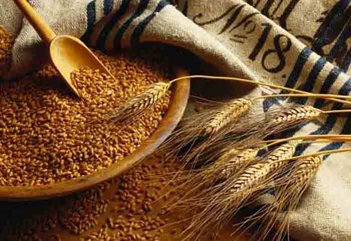 ​Рост экспортных цен на зерно из России привел к повышению внутренних цен