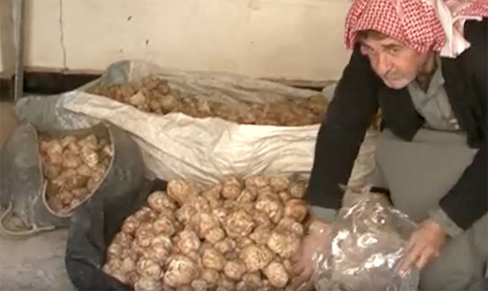 Сельское хозяйство Сирии процветает благодаря большому урожаю трюфелей