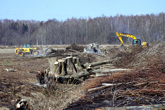 В Калининградской области вводят в сельхозоборот неиспользуемые земли