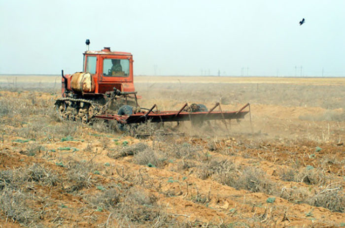 В Краснодарском крае на агрострахование выделили 340 млн рублей