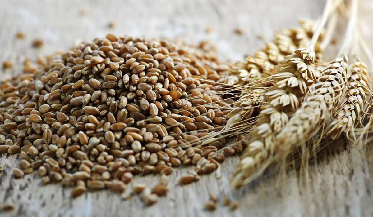 Минсельхоз определил цены закупок зерна для льготной перевозки