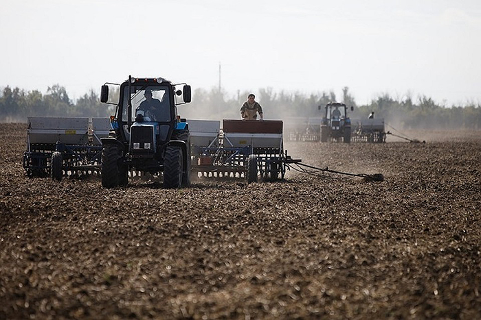 В Татарстане погода погубила 120 тысяч гектар озимых на 1,5 миллиарда рублей