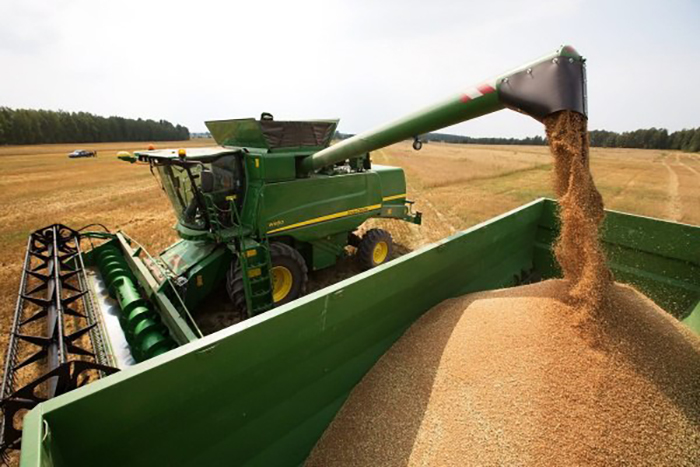 Минсельхоз прогнозирует урожай зерновых к 2035 году в 150 млн тонн