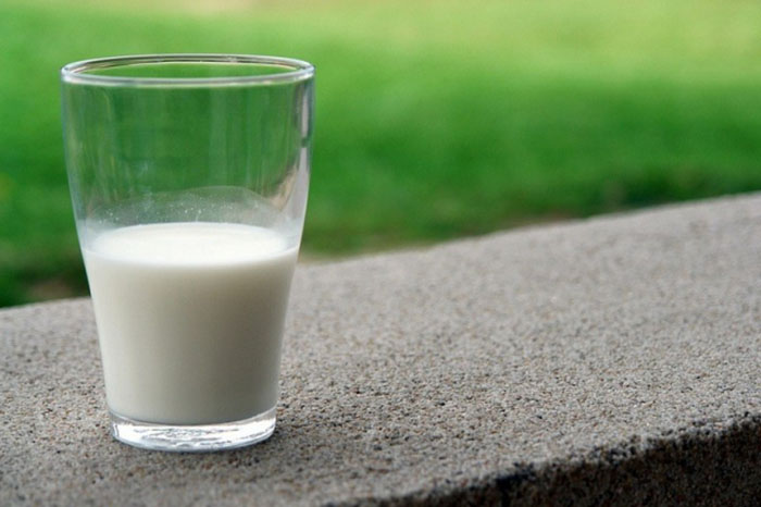 Молоко больной коровы может вызвать рак груди у женщин
