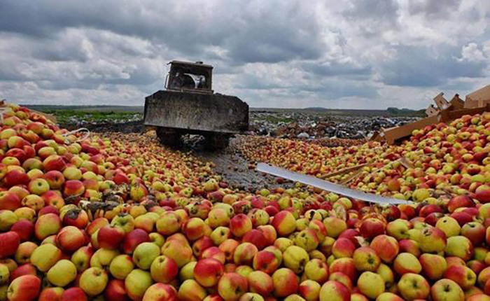 Москва побеждает в пятилетней яблочной войне