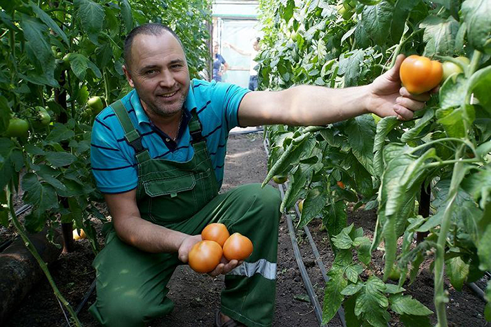 Правительство выделило фермерам 14 млрд рублей