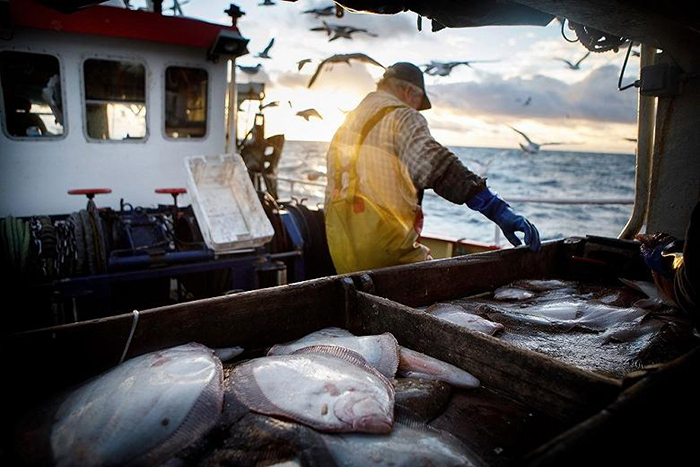 Ученые из Италии назвали глобальное потепление опасным для рыболовства