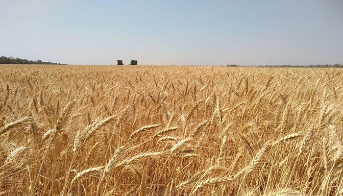 Украина получит от США $35 млн на поддержку аграрного сектора