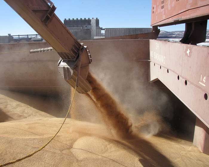 В апреле экспорт зерна сократился на 30%