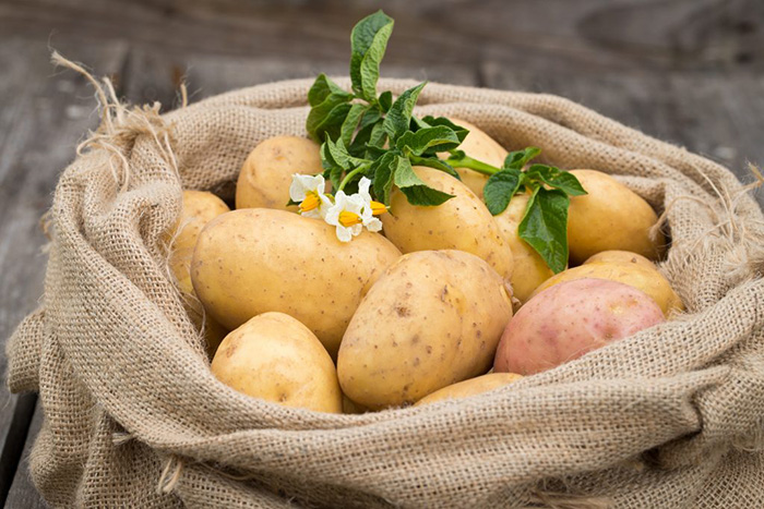 Восемь секретов картофельного урожая