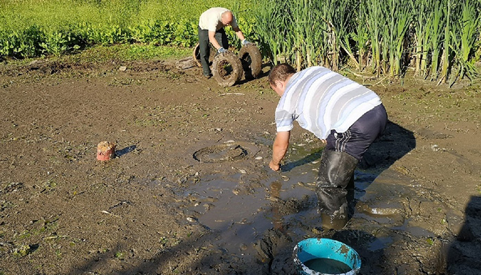 Владимирцы спасли рыб из пересохшего пруда