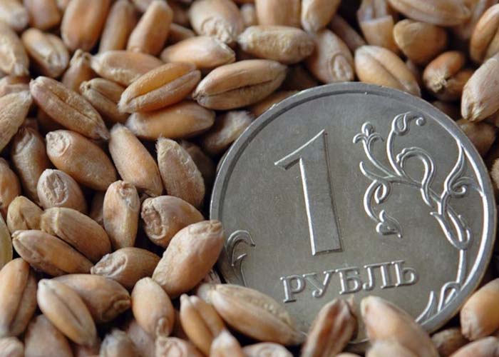 Российский зерновой рынок падение цен продолжается во всех регионах