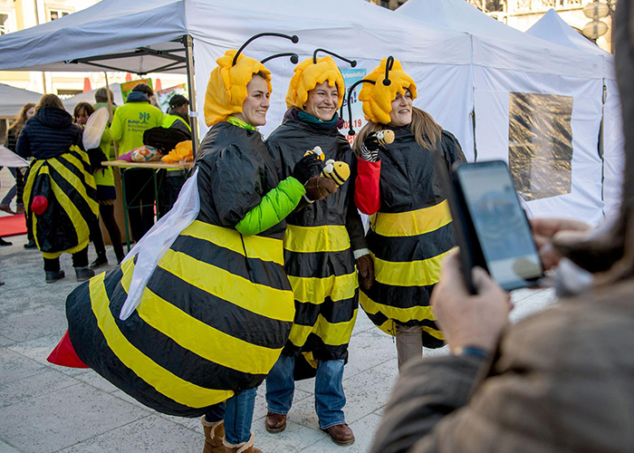 В Баварии ужесточат правила по защите пчел
