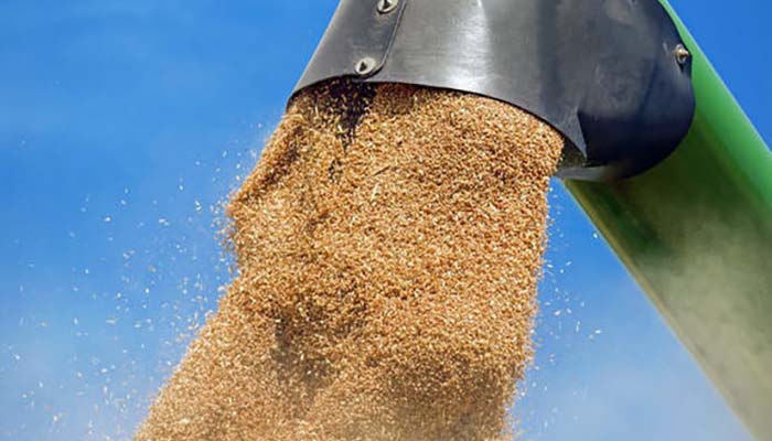В России продлили срок действия нулевой вывозной ставки на пшеницу