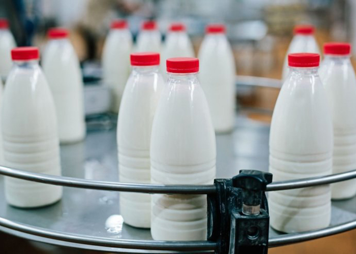 ​К 2025 году Россия будет производить до 34 млн тонн молока в год