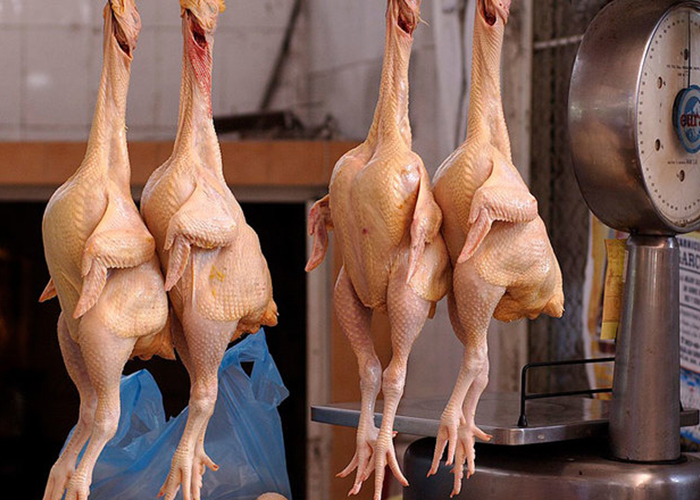 90% рынка курятины в России контролируют две западные фирмы