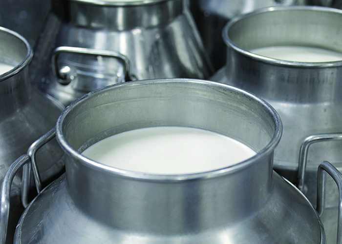 На Сахалине увеличат закупочные цены на молоко
