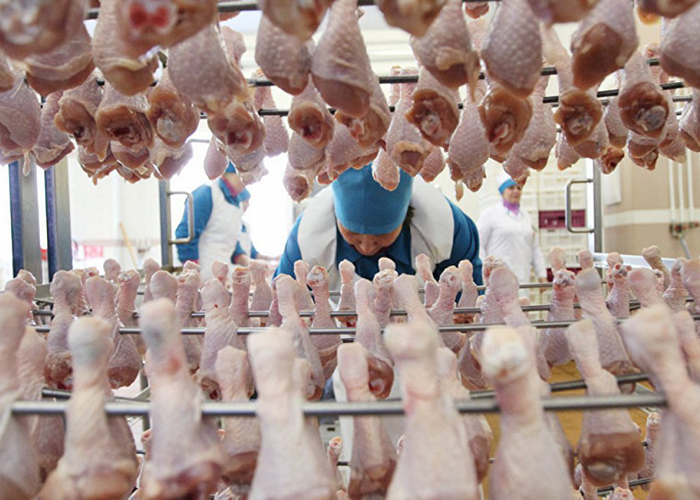 ​Россия в 2019 году может поставить в Китай мяса птицы более чем на $100 млн