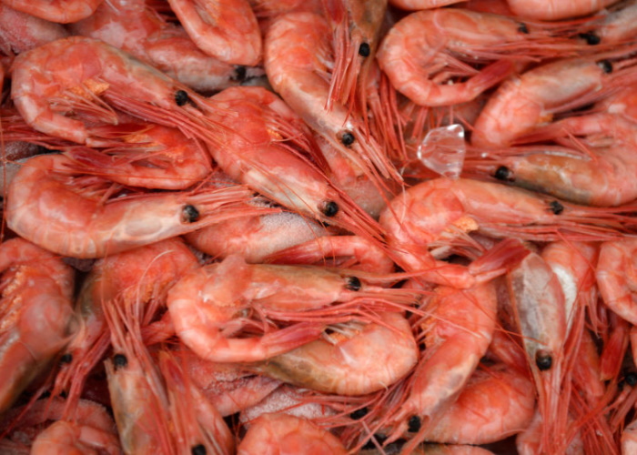 Аргентина намерена почти удвоить поставки рыбы и морепродуктов в Россию 