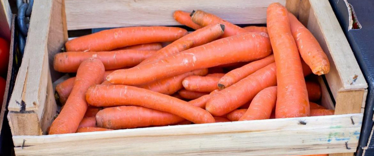 Хранение моркови зимой в домашних условиях