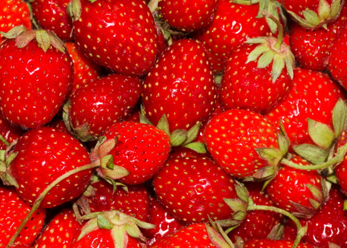 Производство плодов и ягод в России планируется увеличить к 2024 году вдвое