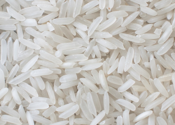 Управлением Россельхознадзора запрещён ввоз в Санкт-Петербург крупной партии риса из Индии с имаго многоядной мухи-горбатки