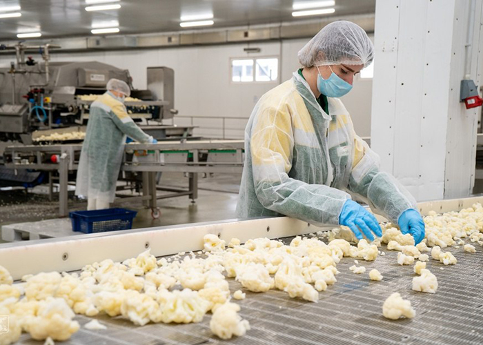 ​Bonduelle ввела первый в РФ завод по производству замороженных овощей