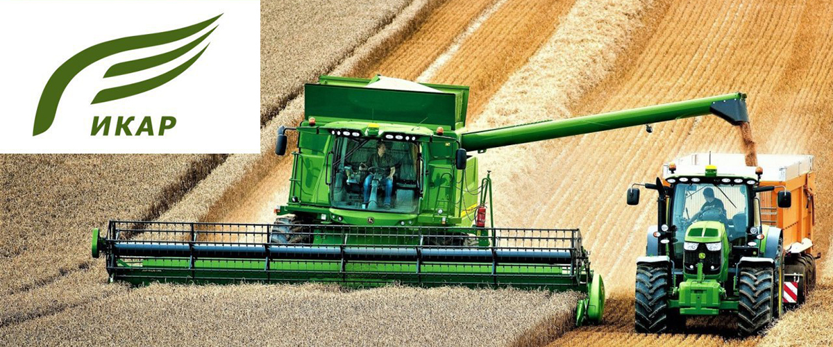 ​ИКАР повысил прогноз сбора зерна в России в этом году