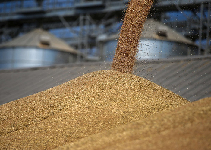 ​ОЗК планирует увеличить мощности в Новороссийске до 25 млн т, переходит на прямые поставки зерна на экспорт
