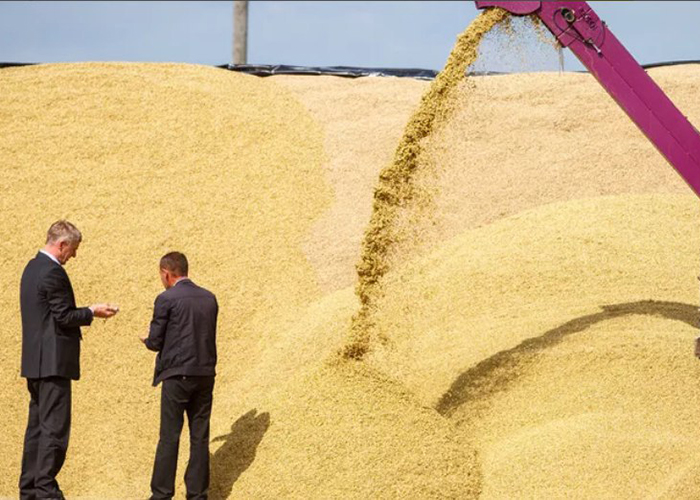 ​Российское зерно переведут в токены после хищений на элеваторах