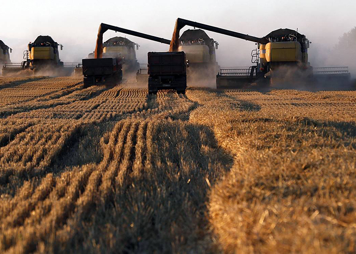 ​В Башкирии собрали рекордный урожай зерна