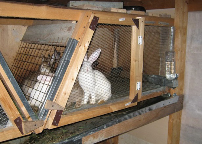 Клетки для молодняка кроликов