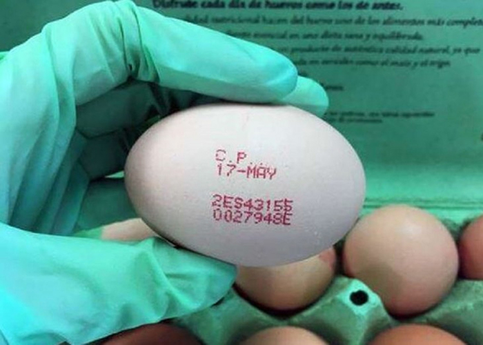 Мошенничеству с органическими яйцами в Европе решили положить конец