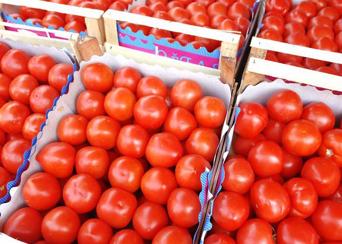 ​Активный спрос провоцирует рост цен на томаты в РФ