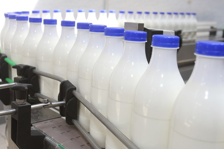 ​Минсельхоз РФ планирует поддерживать молочную отрасль до выхода на самообеспеченность