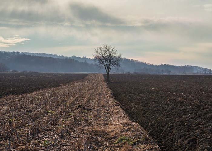 ​Минсельхоз РФ после 25-летнего перерыва выделит аграриям в 2020 году субсидию на раскисление почв