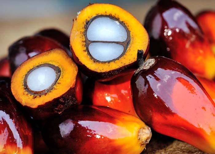 ​Пальмовое масло резко подорожает в 2020 году