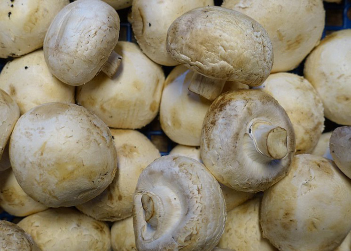 ​Россия войдет в тройку крупнейших в Европе производителей грибов