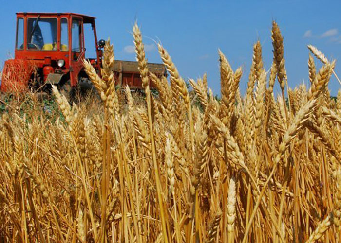 Волгоградский вуз внедряет новые технологии в сельское хозяйство