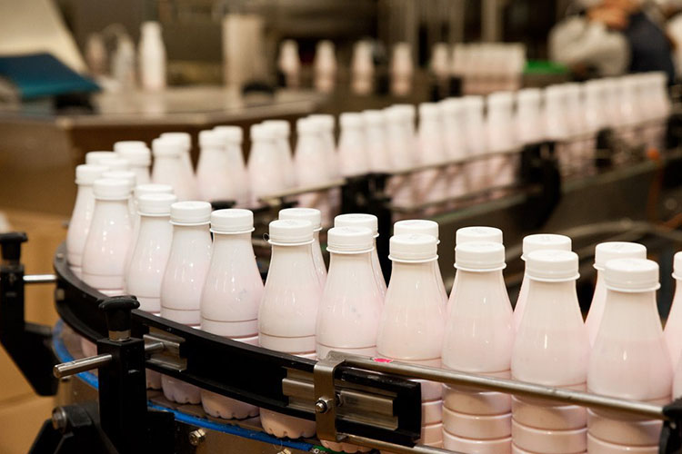 ​Русмолко в 2020 году увеличит производство молока на 33% - до 120 тыс. т.
