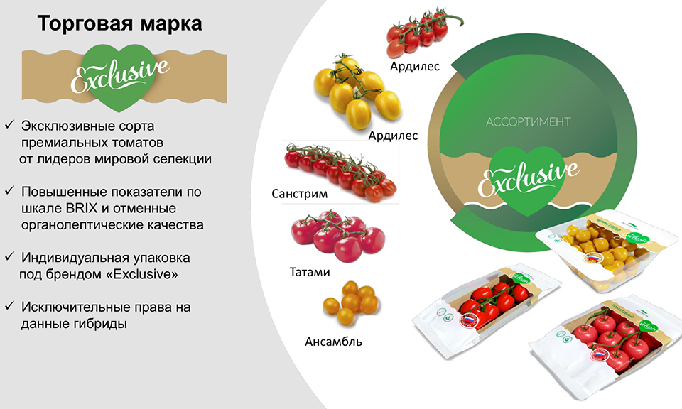 Новая линейка томатов Exclusive поступит в продажу к Новому году