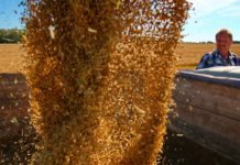 ВТБ решил продать долю в зерновом бизнесе
